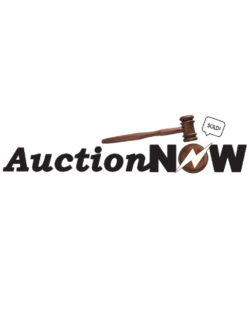AuctionNow